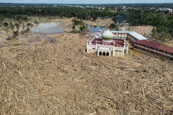 Reuters:
"Remains of uprooted trees surround the Darul Mukhlisin Islamic boarding school and mosque after flash floods in North Sumatra." 

I suspect that the above Reuters caption is misleading and that the trees are in fact not uprooted, but cut down and stripped by illegal loggers, as reported elsewhere.

The chicken came to roost.
