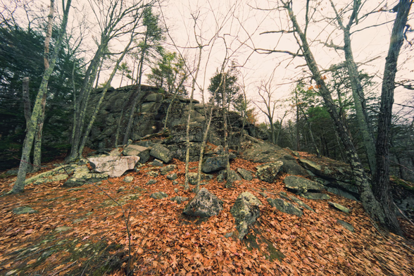 A big granite rock outcropping surrounded by mostly dedicuous trees that have dropped their leaves as well as a few evergreens