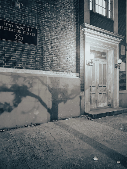 A shadow of a tree on a brick rec center in nyc at night 