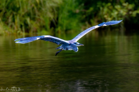 Vers de nouveaux horizons 