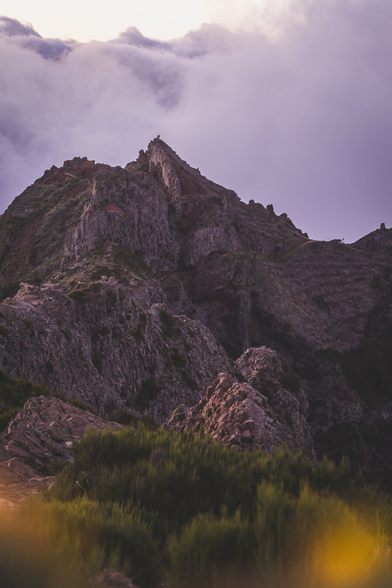 The mountains are shrouded in fog and clouds after sunset, everything takes on pink and purple hues. In the foreground, there are yellow flowers and bushes.