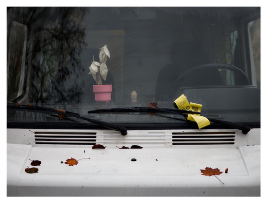 En liggande bild på vindrutan på en husbil. Under en vindrutetorkare sitter två gula parkeringsböter. På motorhuven ligger några nedfallna löv. På instrumentbrädan står en rosa blomkruka med en växt.