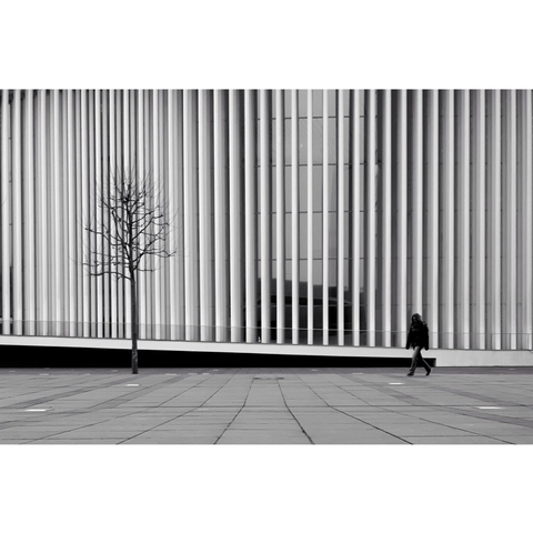 Black and white street photography taken in Luxembourg before the columns of the Philharmonie. On the left somebody is walking in the direction of a naked tree. They both seem tiny and fragile, next to the concrete ground and the vertical lines.