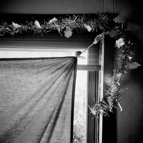 Square format. A series of 90 degree angles created by (in the upper right corner of the photo) some silver holly tinsel decorating a door frame. Working down and towards the centre, the edge of a glass door which is all but entirely covered by a plain cloth. The cloth is suspended in place by a twist of thick white string attached to a magnetic hook mostly hidden by the tinsel. The leaves of a bush can be seen outside through the strip of glass.