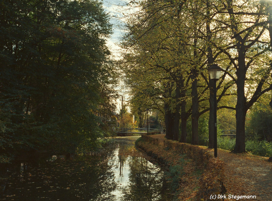Herbst 2025 in Lüdinghausen im Münsterland.