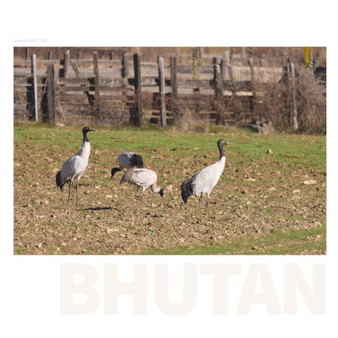 They let us get pretty close this time