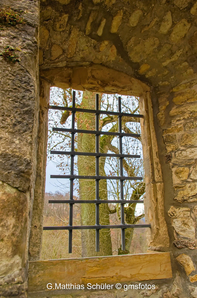Mauerfenster Burg Bodenstein, dahinter ein Baum