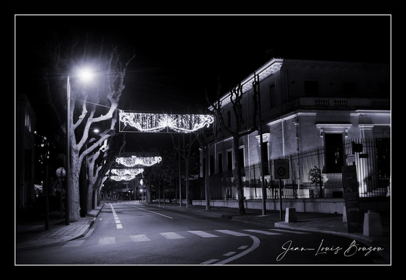A deserted street at night, rendered in stark monochrome, stretches forward under a row of low, decorative arches of light. The lamps hang like lit lace across the road, their soft, festive glow cutting through the surrounding darkness and creating bright pockets that reflect on the asphalt. Leafless trees, pruned into knobby silhouettes, punctuate the sidewalk at regular intervals; their bare branches reach up and out, throwing thin, branched shadows that intersect with the pool of streetlight.
On the right, an elegant two-story building with a modest balcony and columned entrance stands quiet and shuttered. Its façade picks up the light in gentle bands, revealing architectural details — railings, window frames, and the texture of the walls — while the deeper parts of the structure melt into shadow. The left side of the frame is darker and more austere: a row of trunks and a single bright streetlamp that flares in the exposure, its halo softening the hard lines around it.
The road itself provides a strong compositional lead: crosswalk stripes and lane markings guide the eye inward toward the vanishing point, where the illuminated arches repeat and diminish into the distance. There’s a subtle curve to the street that adds a sense of movement, even in the stillness — as if the scene is holding its breath between two passing moments.
Overall, the image balances a quiet, almost cinematic solitude with a faintly festive note given by the string lights. 