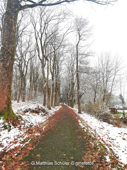 Winterlicher Weg links Bäume und auf beiden Seiten noch etwas Schnee