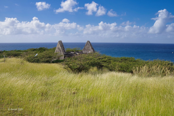 Ruins with triangular roofs stand amid green grass and shrubs on a coastal hill under a bright blue sky, with the ocean stretching to the horizon.
