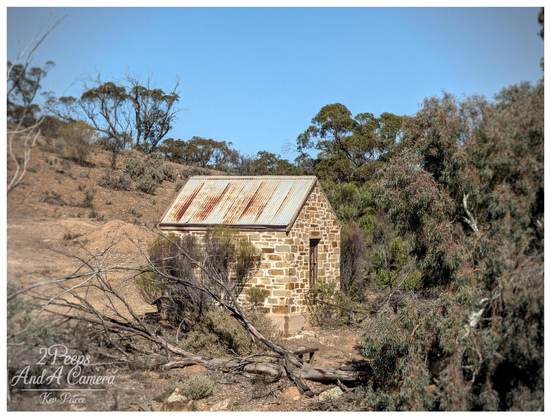 A photograph of an old, small, stone pump shed or outbuilding near Orroroo, featuring a rusted corrugated iron roof.

The structure is nestled on a dry, arid slope and surrounded by Australian bushland, including eucalyptus trees and fallen branches, under a clear blue sky.