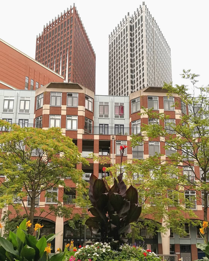 a view of the buildings in The Hague city