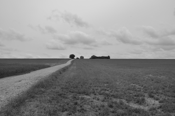 Sur un plateau agricole d'apparence morne, une ferme isolée au centre de l(image au bout d'un unique chemin