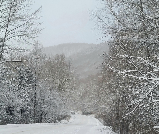 Un chemin enneigé contourne une colline haute dans une foret boréale. Un camion arrive au loin. Tous les arbres sont remplis de neige.