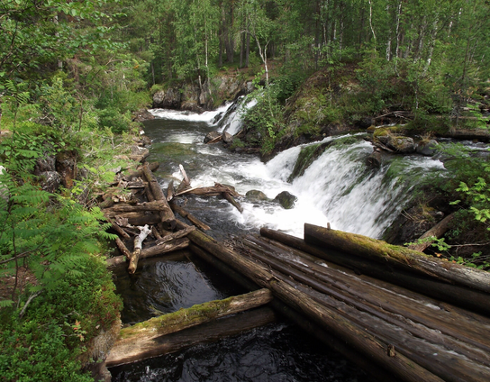 A view of a small river with waterfalls on its right bank, and remains of timber-rafting structures in the front. River banks are covered with forest.
