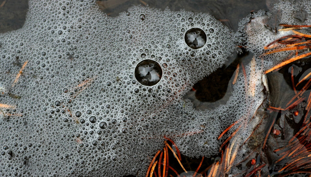Photograph of bluish bubbles on the cold water of a stream, almost like soap foam, gathered near orange fir needles. The bubbles, of varying sizes, moved and rearranged themselves with the movement of the water, resembling a small creature with a mouth and two larger bubbles like bulging eyes, reflecting the photographer's image.

Photographie de bulles bleutées à la surface de l'eau glacée d'un ruisseau, ressemblant presque à de la mousse de savon, accumulées près d'aiguilles oranges de sapin. Les bulles de grosseurs variées bougeaient et se réarrangeaient avec le mouvement de l'eau, ressemblant à une petite créature avec une bouche et deux plus grosses bulles comme des yeux globuleux, reflétant l'image de la photographe.