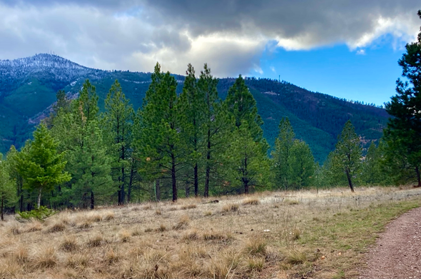 In the bottom right hand corner a trail passes along the edge of short, golden grass. Behind, is a line of evergreens. In the distance rises a wooded mountain, its summit dusted with snow. The sky is cloudy, but to the right there is a large patch of blue sky.