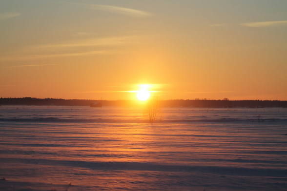 Orange sunset during winter. Sun is setting down behind a tree line while snowy field reflects it's colors.
