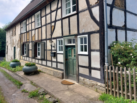 Ein altes, teilsaniertes Fachwerkhaus,  mit Schäden, Rosenstrauch und Fugengrün der Straße. Soll es nun saniert werden oder nicht?