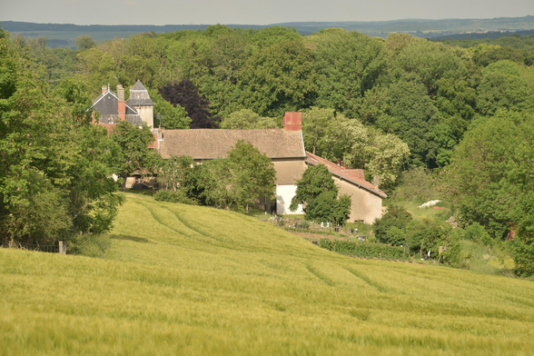 Au milieu des champs et des bois, une ferme monumentale, blottie dans le paysage.