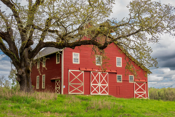 A landscape photograph showing a red barn with white trim on a grassy hill at the Finley Wildlife Refuge in Oregon. A large oak tree with moss-covered branches spreads across the scene, beneath a sky of mixed clouds and light.