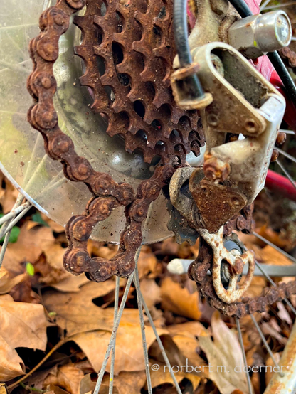 Verrostete Fahrrad-Kette an einer Fünfer-Ritzel, der Umschalter für den Gang ist total verrottet, und die Kette liegt nicht mehr fest an, sondern in einer Schleife unter der Nabe. Durch die Speichen des Rades sieht man viele braune Blätter, die auf dem Boden liegen.