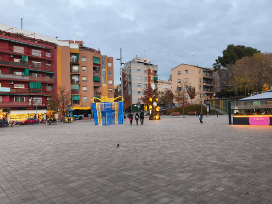 Acabo de fotografiar esto