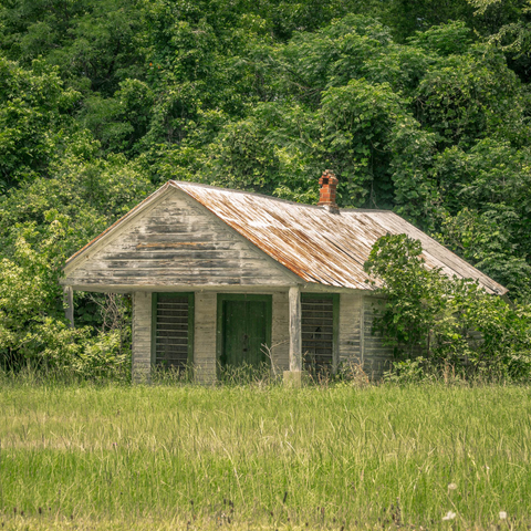 An abandoned single-story wooden house with weathered horizontal siding sits in an overgrown field of tall grass and weeds. The structure features a steeply pitched gable roof covered in heavily rusted corrugated metal showing orange-brown streaks. A red brick chimney rises from the right side of the roof. The front facade has a covered porch supported by wooden posts, with a central dark green door flanked by two windows with dark green shutters. The wood siding shows significant aging with dark staining and deterioration. Dense deciduous forest with lush green foliage forms the backdrop, and small trees or large shrubs grow close to the house on both sides. The scene is photographed in bright daylight during summer.