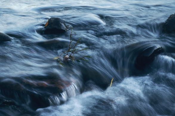Long-exposure of a small stream swirling around dark rocks and a tiny sprig of green leaves, with silky blue-gray water cascading and eddying in soft motion.