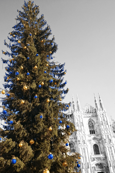 A towering Christmas tree, lush green and decorated with shiny blue and gold baubles, stands prominently in the left foreground in full colour. Behind it, the intricate Gothic facade of the Milan Cathedral rises into a grey sky, rendered in black and white to create a striking artistic contrast with the vibrant tree.