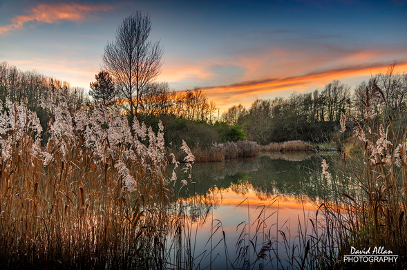 Sunset-lit clouds captured reflecting on a December evening at Silksworth Pond, Sunderland in NE England.
