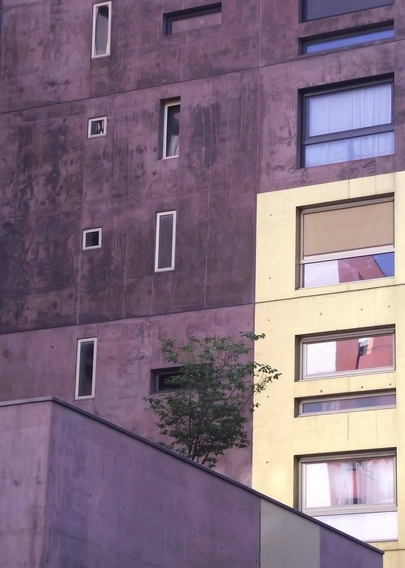 La façade d'un immeuble moderne dans le 13ème arrondissement de Paris : la majorité de la façade est mauve, avec des fenêtres de dimensions inégales (carrés et rectangles), une minorité de la façade est peinte en jaune, un autre immeuble se refléte sur les vitres ds fenêtres plus grandes. Un arbuste a été planté sur une terrasse