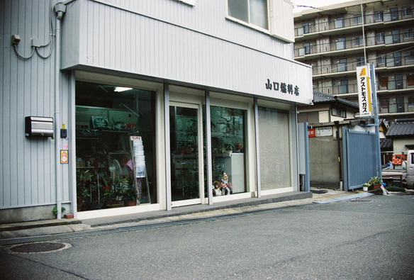 The image depicts a street scene featuring a light gray commercial building with vertical siding. Above the entrance, a sign displays the Japanese text “山口燃料店” (indicating a fuel store). The storefront has large glass windows and sliding doors; inside, potted plants and shelves with items are visible. To the right of the store, a vertical sign with Japanese text is mounted on a pole. Behind the store, a multi - story apartment building with numerous windows is visible. To the far right, a blue metal gate and small adjacent structures (possibly residential or commercial) are present. The street is paved with a curb along the building’s edge. Additional details include electrical boxes on the building’s wall, a small plant near the building’s base, and a white van parked near the blue gate.