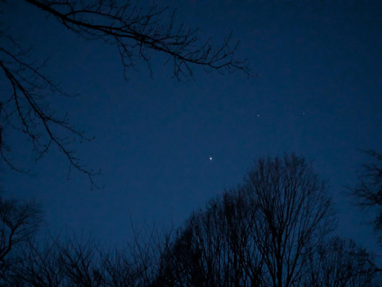 Photo of the night sky above the dark silhouettes of trees. There is one bright point of light, Jupiter, and two pinpricks of light, the stars Castor and Pollux.