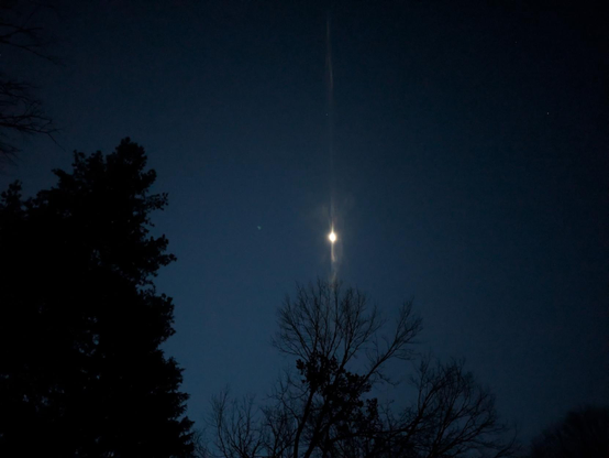 Photo of a crescent moon shining like a star over the dark silhouettes of trees.