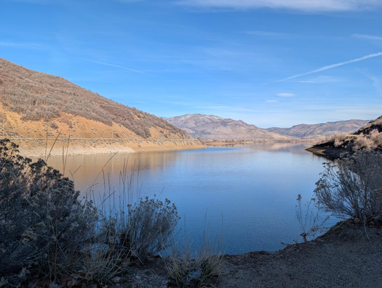 Photo of Pineview Reservoir from today, facing the northeast and taken from the southwest side, along the "nose" of the airplane shape that the water makes when seen from above. The water is mostly still, with small ripples from the life under the surface and wind blowing across. The lake takes up the center of the photo, reflecting a bright blue sky, with just a few clouds scattered mostly behind distant mountain peaks. Along the shore in front of the water, hibernating plant skeletons are ready for icy temperatures and snow. On the left, in mid distance, is a tree covered slope, with a road that follows the opposite shore line. Driving up Ogden Canyon to get here is always one of my favorite things to do.