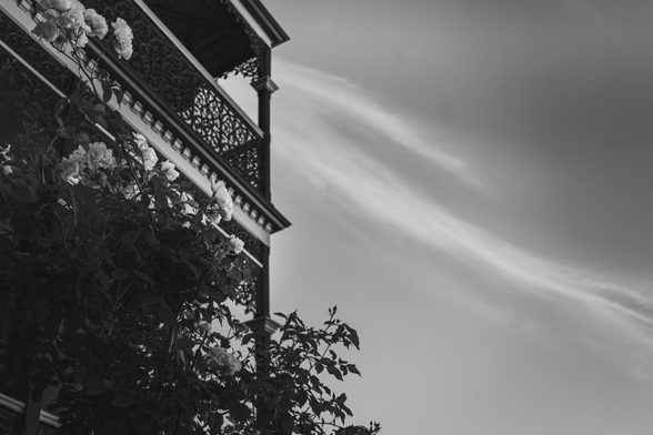A black and white phot of an old house in Tasmania with a rose bush in front of it. Feathery wispy clouds against an otherwise clear sky
