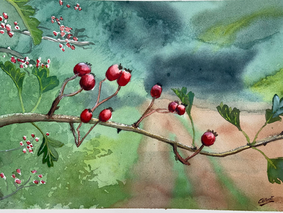 A watercolor painting depicting a branch with red berries and green leaves, set against a soft, blended background of greens and blues 