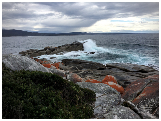 A dramatic, low angle shot of the Binalong Bay coastline under a stormy sky. Large waves are crashing and breaking white against a cluster of dark, rounded granite boulders in the middle ground.  In the foreground, dark green coastal scrub provides a frame, surrounded by rocks stained with bright orange lichen. Distant dark hills line the far horizon.