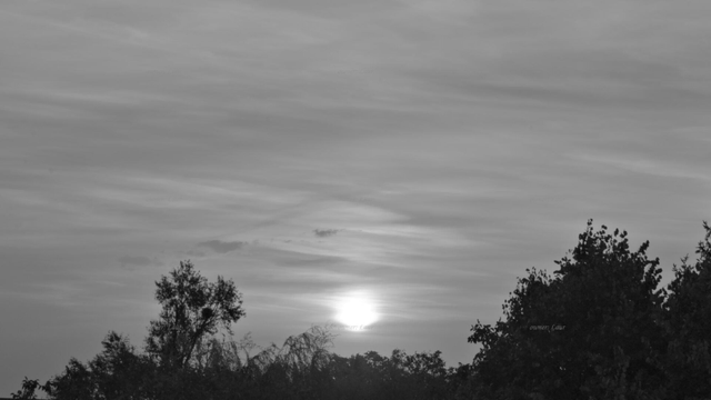 Sunrise, black and white, photo
