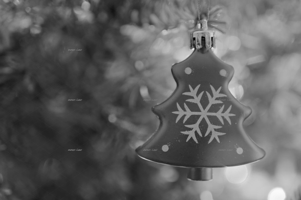 Christmas lights, closeup, black and white, photo