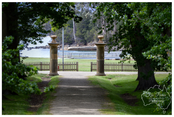 A horizontal photograph taken at Port Arthur, Tasmania, showing a gravel path leading down toward the water.

The path is framed on both the left and right by the dark, leafy branches and trunks of mature trees. In the middle ground, two tall, ornate stone or sandstone columns stand guard, marking a historic entrance.

Beyond the columns, a short wooden picket fence runs across a bright green lawn, and the light blue water of the bay and a white pier are visible in the background, surrounded by thick Tasmanian bushland.