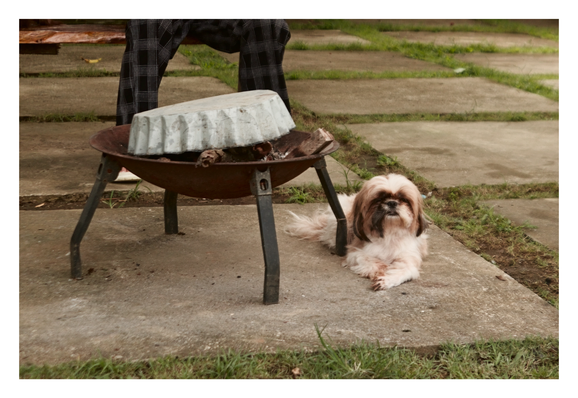 A fluffy Shih Tzu dog, with white and reddish-brown fur covering its face, lies placidly on a concrete patio beside a rusty, tripod fire pit. The fire pit bowl contains wood and is partially covered by a circular, corrugated metal lid. In the upper left corner, the lower legs of a person wearing black and white checkered pants are visible, sitting on a wooden bench. - Google Gemini Latest