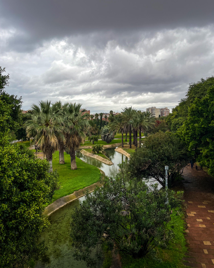 Un exuberante parque con palmeras y un canal de agua serpenteante bajo un cielo nublado bastante dramático. El ambiente es tranquilo y ligeramente amenazador, con un toque de paisaje urbano de fondo.