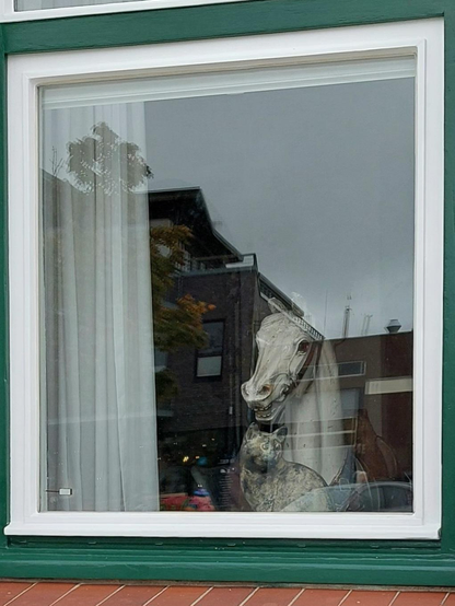 Figures of a horse and a cat are standing and sitting behind a window pane, looking outside. There's an open white curtain on the left side of the window. A house and grey sky are reflected in the pane.