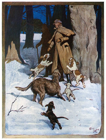 Two men walking through the snow are greeted by elated dogs and puppies as they emerge from the deep shadow of tall trees.
