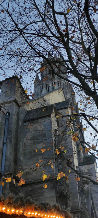 Vue en contre-plongée église à Arras, partiellement cachée par les branches d’un arbre aux dernières feuilles d’automne. Le ciel est bleu pâle et une guirlande lumineuse chaleureuse apparaît en bas de l’image