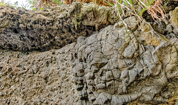 Rock formation close-up with shrubs on top.
