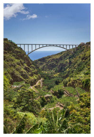 The image shows a dramatic landscape view looking up from the bottom of a deep, V-shaped lush green ravine toward the graceful concrete arch bridge Puente de Los Tilos (also known as the Arch of Los Tilos) on La Palma in the Canary Islands, spanning high across the top. The bridge, a slender, elegant single arch structure made of light gray concrete, curves smoothly in a wide parabolic shape, supported by vertical pillars rising from the arch to the flat road deck above. The road deck appears as a straight horizontal line with barriers on the sides, carrying a two-lane roadway that connects the steep, vegetated slopes on either side. Through the open space beneath the arch, the deep blue ocean is visible in the distance, meeting a pale horizon under a mostly clear, bright blue sky with scattered white clouds. The ravine below is filled with dense, vibrant tropical vegetation: thick layers of green trees, shrubs, and especially prominent banana plants with large, broad leaves in the foreground at the bottom of the image. Terraced patches of cultivated land, likely banana plantations, are visible on the lower slopes, along with winding dirt paths. Overall, the composition highlights the impressive engineering of the bridge contrasting with the natural beauty of the deep green valley, ocean backdrop, and clear skies, creating a sense of height, depth, and harmony between human structure and nature.