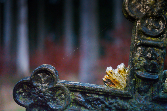 Nahaufnahme der Seite eines gußeisernen Kreuzes für einen gefallenen Soldaten. Das Kreuz selbst ist schwarz mit Verzierungen, dahinter ist ein goldener Kranz zu sehen. Zwischen zwei Armen des Kreuzes ist eine feine Linie von Spinnweben, dahinter sind Bäume im Wald.